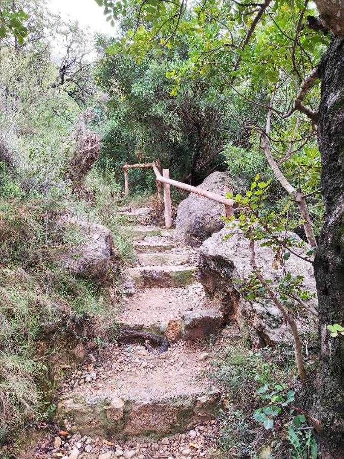 צ'ולייה La Rueda Apartamentos Rurales מראה חיצוני תמונה